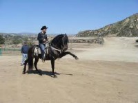 /album/fotogaleria/a12-espa-jpg/